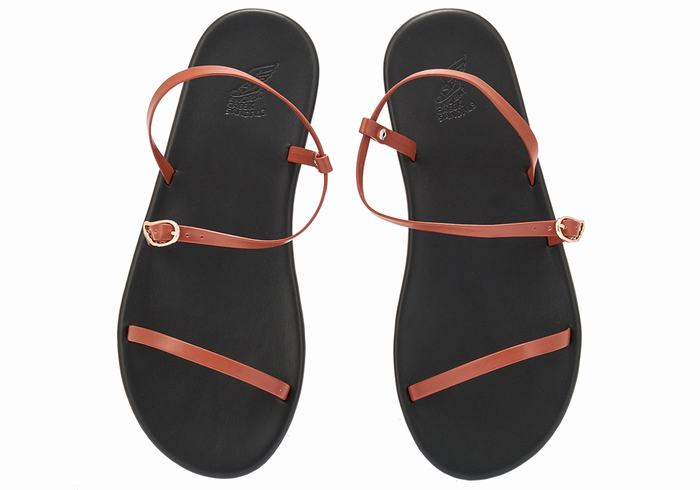 Sandales Bride Arrière Ancient Greek Sandals Niove   | IID-2292673